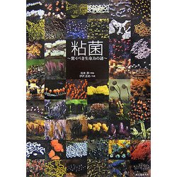 粘菌 驚くべき生命力の謎  /誠文堂新光社/松本淳（粘菌分類学）（大型本） 粘菌: 驚くべき生命力の謎 | 松本 淳, 伊沢 正名 |本 | 通販
