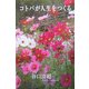 コトバが人生をつくる [新書]