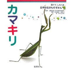 カマキリ(育てて、しらべる日本の生きものずかん〈13〉) [図鑑]