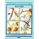 馬具の装着(ホース・ピクチャーガイド〈3〉) [単行本]