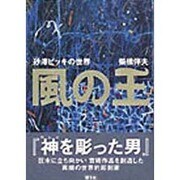 風の王－砂澤ビッキの世界 [単行本]