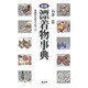 新編漂着物事典―海からのメッセージ [単行本]
