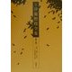 定本 伊藤野枝全集〈第3巻〉評論・随筆・書簡2―『文明批評』以後 [全集叢書]