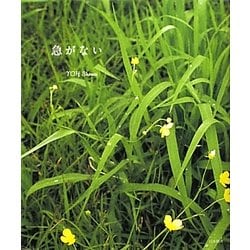 急がない [単行本]
