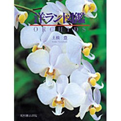 洋ラン図鑑 [単行本]