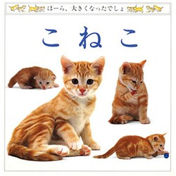 こねこ(児童図書館・絵本の部屋―ほーら、大きくなったでしょ) [絵本]
