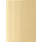 大日本史料 第8編之41 [全集叢書]