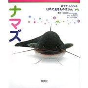 ナマズ(育てて、しらべる日本の生きものずかん〈12〉) [図鑑]