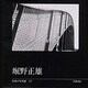 日本の写真家 12 [全集叢書]