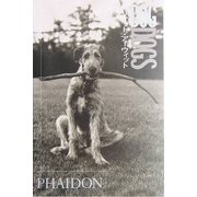 DOGDOGS [全集叢書]