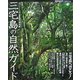 三宅島の自然ガイド―エコツーリズムで三宅島復興!(BIRDER SPECIAL) [単行本]