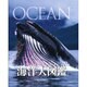 海洋大図鑑（DKブックシリーズ） [単行本]