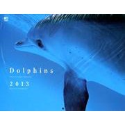 ドルフィンカレンダー 2013 [カレンダー]