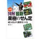 大判図解　最新果樹のせん定－成らせながら樹形をつくる [単行本]