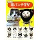 コミック猫パンチTV [単行本]