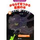 夜空を直接手ではかる!かならず見つかる星座の本 秋の星座を手でさがそう [全集叢書]