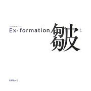 Ex-formation 皺 [単行本]