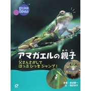 ぼくたち親子だよ アマガエルの親子―父さんさがしてほっぷびっきジャンプ! [絵本]
