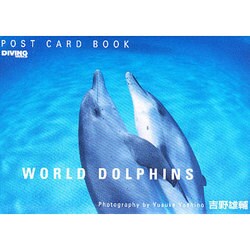 WORLD DOLPHINS [単行本]
