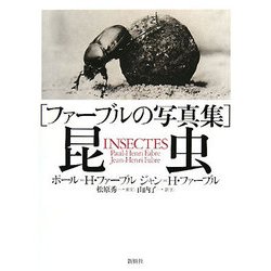 ファーブルの写真集 昆虫 [単行本]