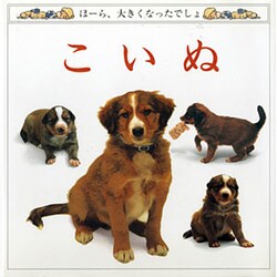 こいぬ(児童図書館・絵本の部屋―ほーら、大きくなったでしょ) [絵本]