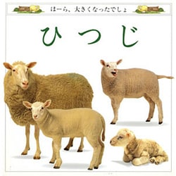 ひつじ(児童図書館・絵本の部屋―ほーら、大きくなったでしょ〈7〉) [絵本]