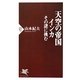 天空の帝国インカ―その謎に挑む(PHP新書) [新書]