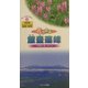 花かおる飯豊連峰(ビジター・ガイドブック〈19〉) [単行本]