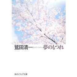 夢のもつれ(角川ソフィア文庫) [文庫]