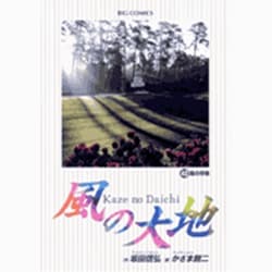 風の大地<４０>(ビッグ コミックス) [コミック]