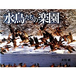 水鳥たちの楽園(写真のえほん〈10〉) [絵本]