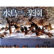水鳥たちの楽園(写真のえほん〈10〉) [絵本]