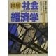 図解 社会経済学―資本主義とはどのような社会システムか [単行本]