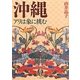 沖縄―アリは象に挑む [単行本]