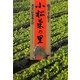小松菜の里―東京の野菜風土記 新装版 [単行本]
