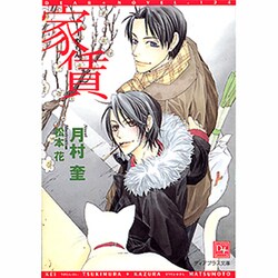 家賃（新書館ディアプラス文庫 124） [文庫]