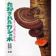 たおされたカシの木－きのこのちから（文研科学の読み物）