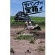 サバンナの宝箱―獣の女医のどたばたアフリカン・ライフ!(幻冬舎文庫) [文庫]