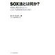 SOX法とは何か?―米国企業改革法からCSR、内部統制を読み解く [単行本]