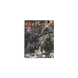 光るナナムイの神々―沖縄・宮古島～西原～ 1997～2001(チルチンびとライブラリー〈2〉) [全集叢書]