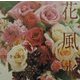 花風水 [単行本]