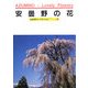 安曇野の花―A Souvenir Postcard Book(京都書院アーツコレクション) [文庫]
