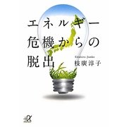 エネルギー危機からの脱出(講談社プラスアルファ文庫) [文庫]