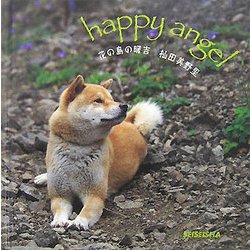 花の島の暖吉 [単行本]