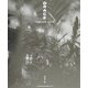 GRACE―安田千絵写真集(ワイズ出版写真叢書〈14〉) [単行本]