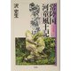 常陸国河童風土記―古代史の騙りごととマツリゴトの今昔 [単行本]