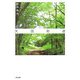 天国街道―結核療養所 保生園の日々 [単行本]