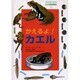 ドキドキワクワク生き物飼育教室 3 [全集叢書]