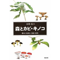 森とカビ・キノコ―樹木の枯死と土壌の変化 [単行本]