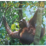 オランウータンの森 [全集叢書]
